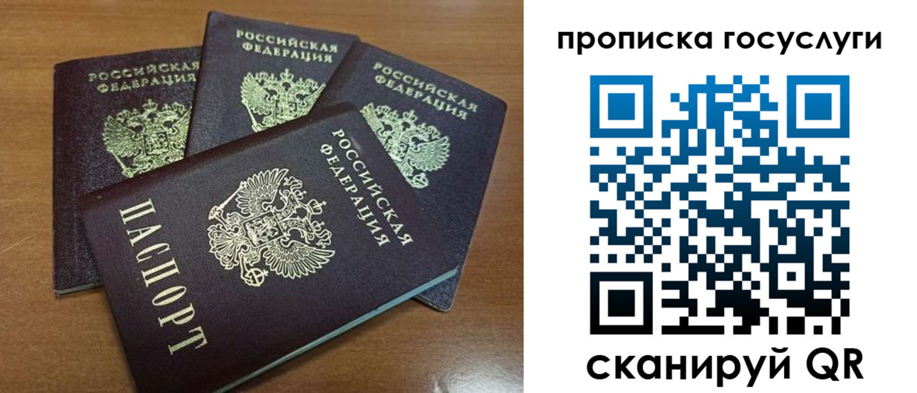 прописка 2025 в Благодарном